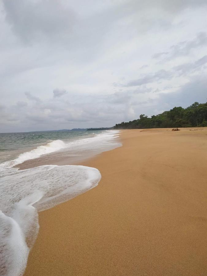 La Luciernaga Big Creek Bed and Breakfast Bocas del Toro Buitenkant foto